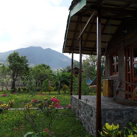 Finca Montana Sagrada Merida ห้อง รูปภาพ