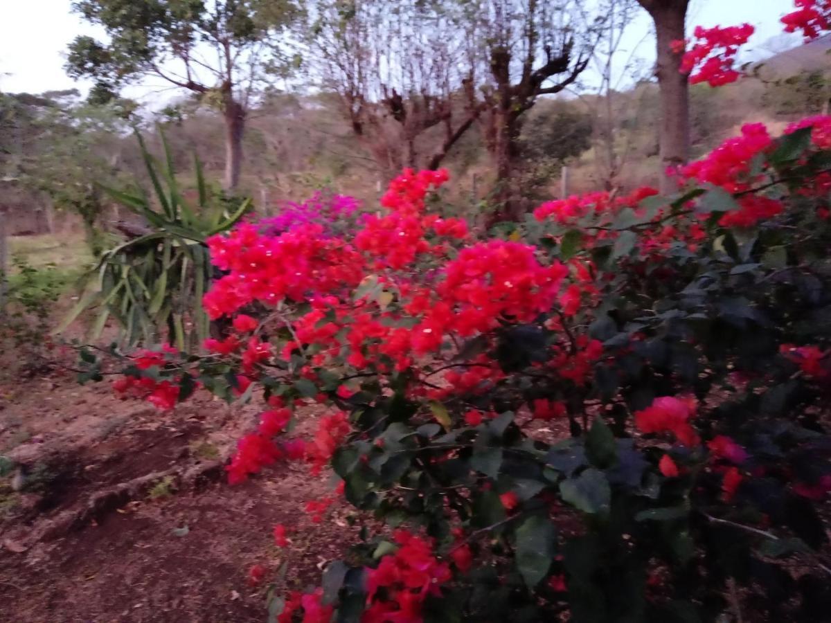 Finca Montana Sagrada Merida ภายนอก รูปภาพ