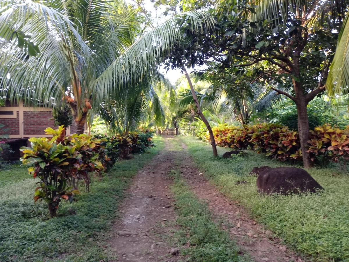 Finca Montana Sagrada Merida ภายนอก รูปภาพ