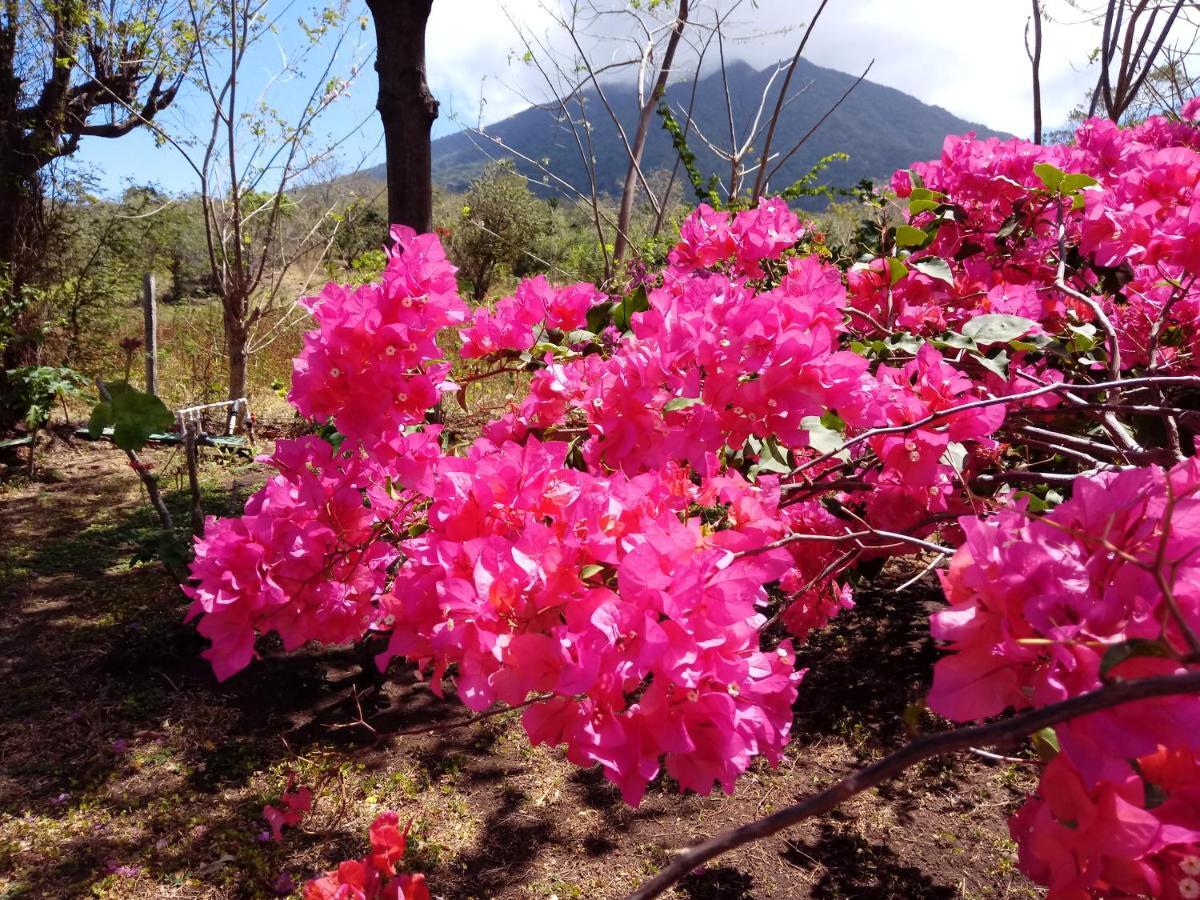 Finca Montana Sagrada Merida ภายนอก รูปภาพ