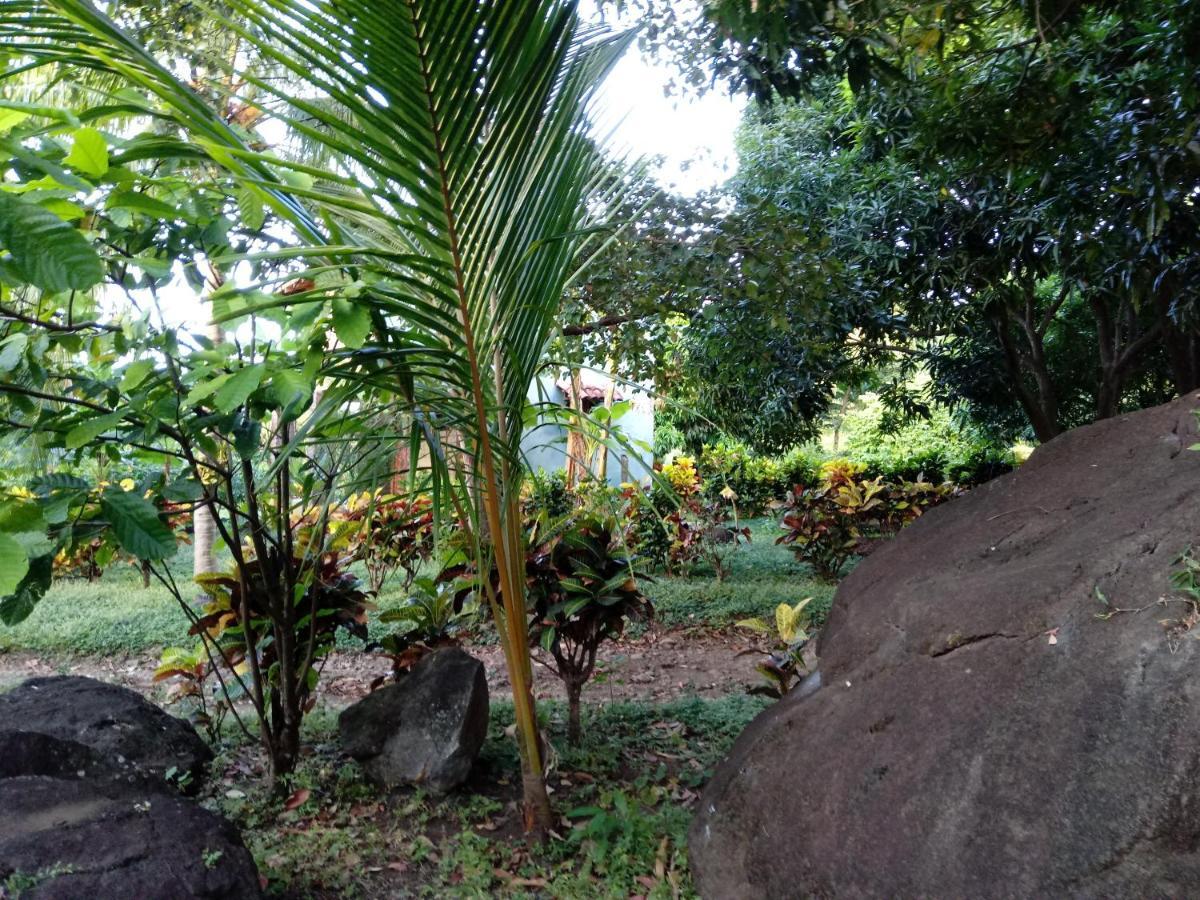 Finca Montana Sagrada Merida ภายนอก รูปภาพ
